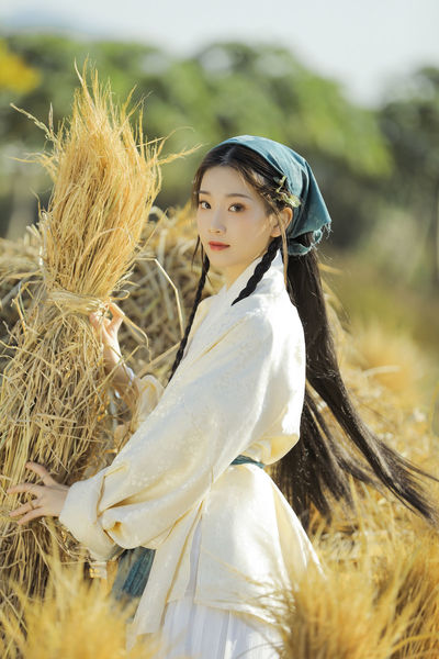 大岛优子种子