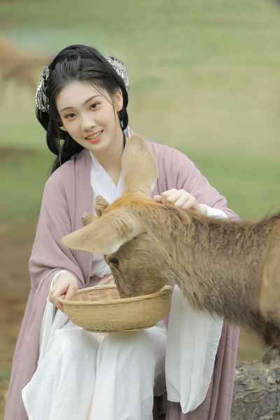 三妻四妾完整版免费观看