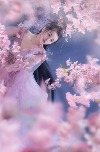 2019理论高清在线