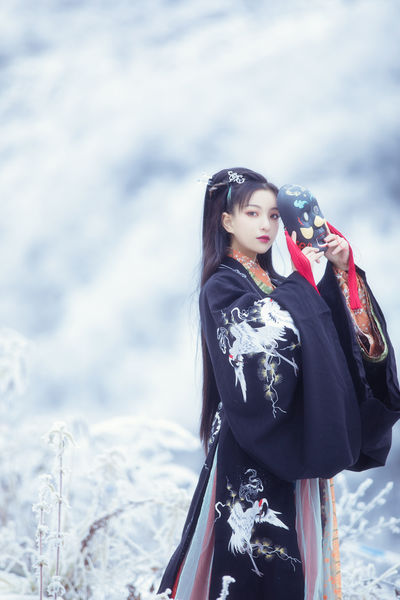 免费高清在线