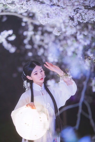 洞房艳史未删减版